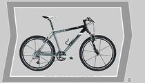 Mountainbike kaufen: CANYON CA 0310 PRO Neu