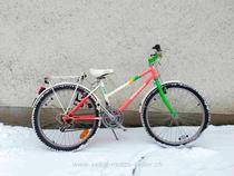 Bikes Citybike WHEELER 2490