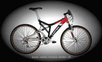Bikes Mountainbike CANYON CA 8014 TRACTION