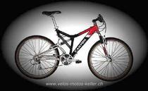  Mountainbike kaufen: CANYON CA 8014 TRACTION Neu