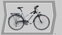  Citybike kaufen: CANYON CA 0368 TREKKING Neu