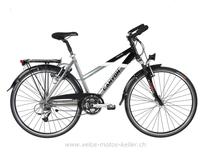  Citybike kaufen: CANYON CA 0368 TREKKING Neu