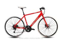 Speedbike kaufen: CANYON CA 1454.1 NKD Neu