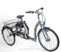 E-Bike kaufen: ANDERE Pfau-Tec Spezical Dreirad Elektro 2624