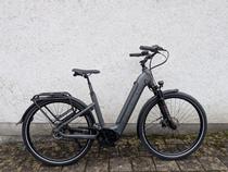 E-Bike kaufen: KRISTALL B 25 KOMFORT 800   NEXUS 5 GANG Neu