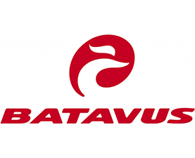 BATAVUS Velo kaufen