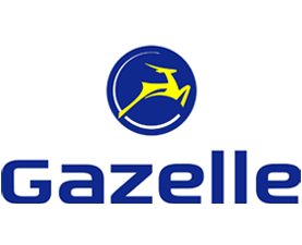 GAZELLE Velo kaufen