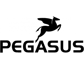 PEGASUS Velo kaufen